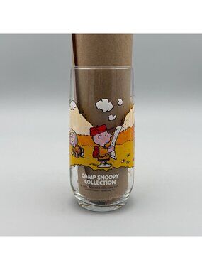 Camp Snoopy McDonalds Collectible Glass 1980s Peanuts Civilization is Overrated